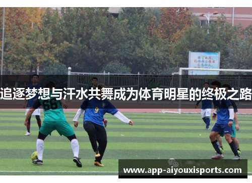 追逐梦想与汗水共舞成为体育明星的终极之路
